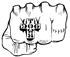Dogtown logo